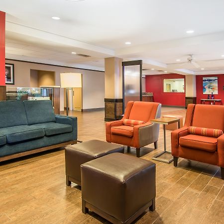 Comfort Inn & Suites Kissimmee By The Parks Four Corners Kültér fotó